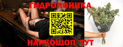 эйфоретик Аргун
