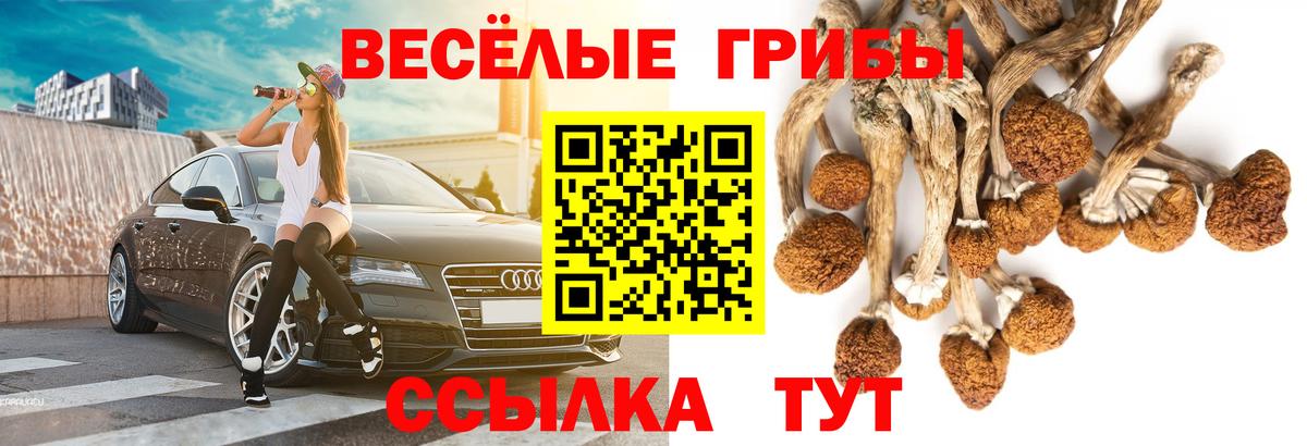 Псилоцибиновые грибы Psilocybine cubensis  Вход с VPN  Псилоцибиновые грибы Magic Shrooms  наркошоп  Артёмовский 